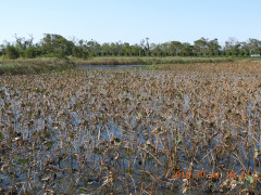 DSCN5998.JPG