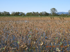 DSCN5999.JPG