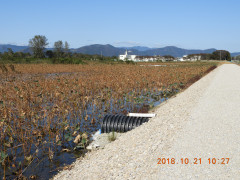 DSCN6000.JPG
