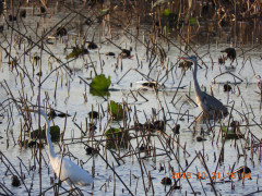 DSCN6012.JPG