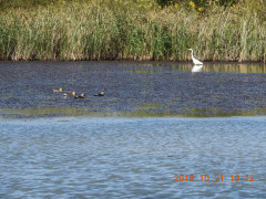 DSCN5987.JPG