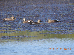 DSCN5989.JPG