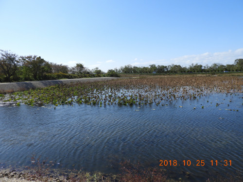 DSCN6028.JPG