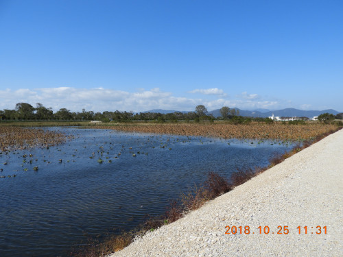 DSCN6029.JPG
