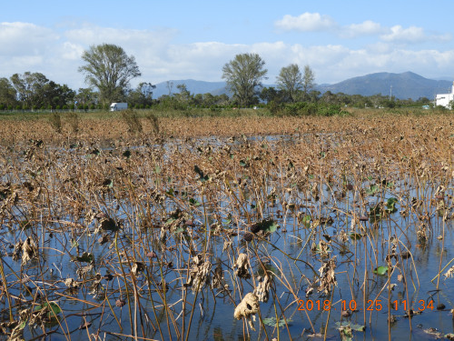 DSCN6036.JPG