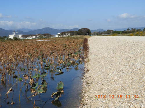 DSCN6037.JPG