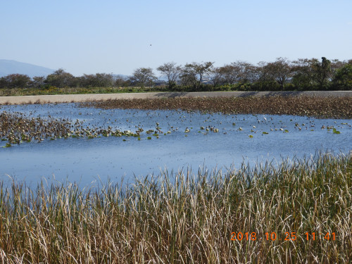 DSCN6039.JPG