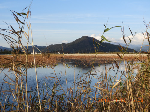 DSCN6129.JPG