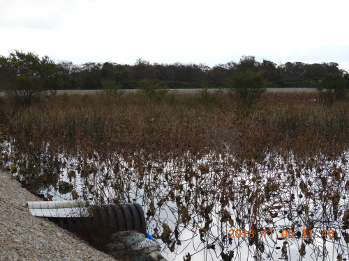 DSCN6110.JPG