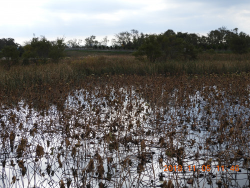 DSCN6111.JPG