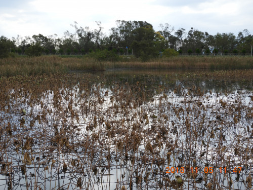 DSCN6112.JPG