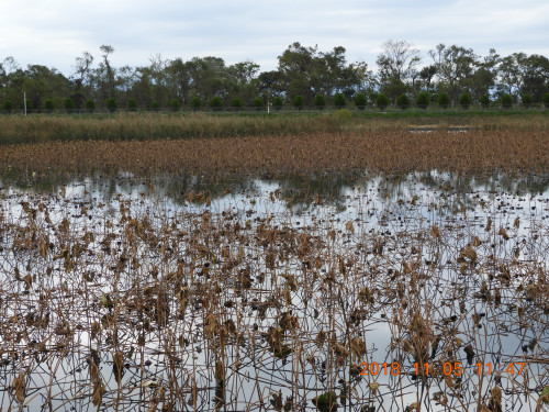 DSCN6113.JPG