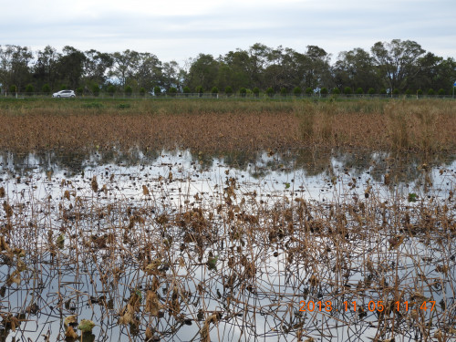 DSCN6114.JPG