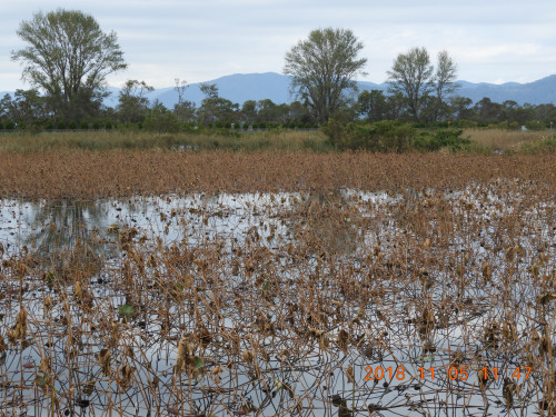 DSCN6115.JPG