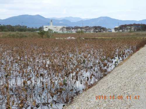 DSCN6116.JPG