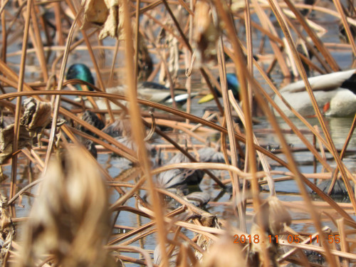 DSCN6123.JPG