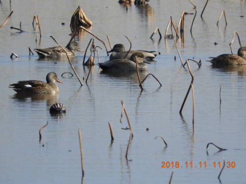 DSCN6180.JPG