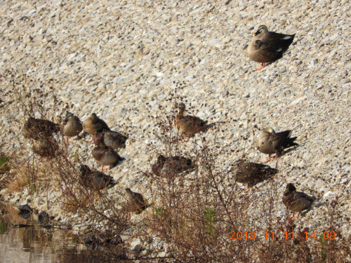 DSCN6193.JPG