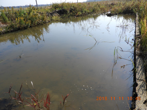 DSCN6167.JPG