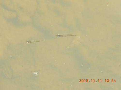 DSCN6172.JPG