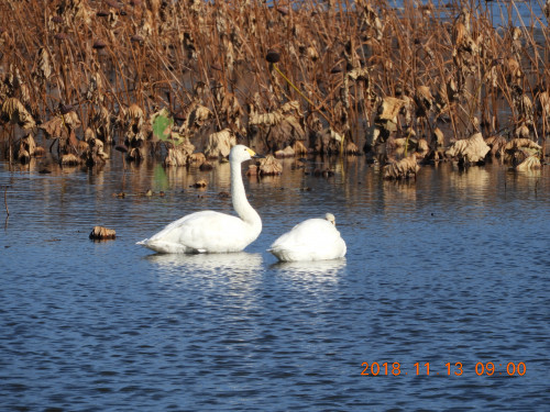 DSCN6205.JPG