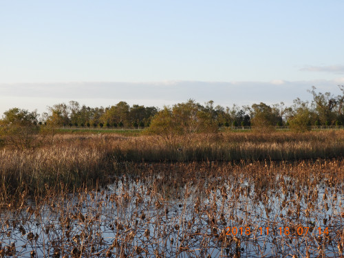DSCN6213.JPG