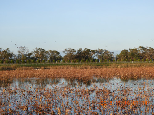 DSCN6215.JPG