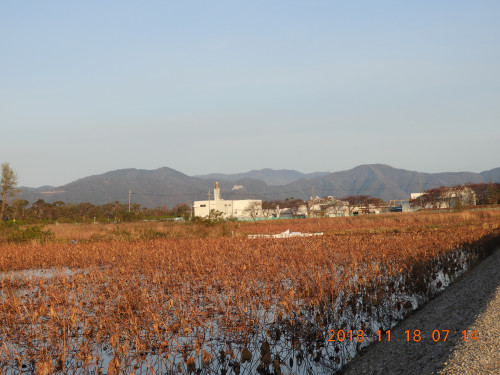 DSCN6217.JPG