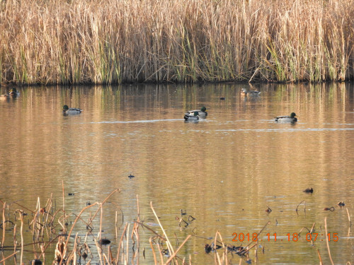 DSCN6218.JPG