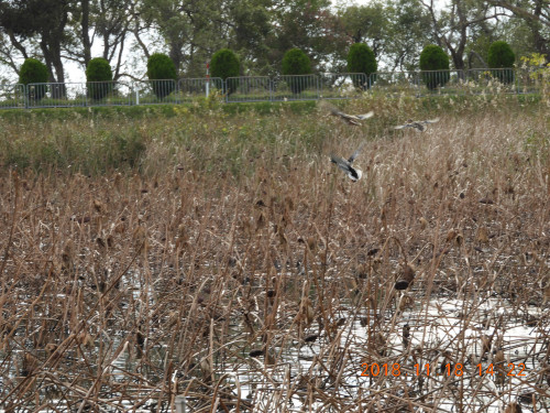 DSCN6221.JPG
