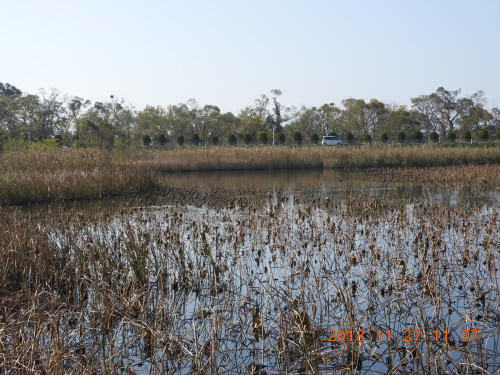 DSCN6322.JPG