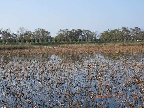 DSCN6323.JPG
