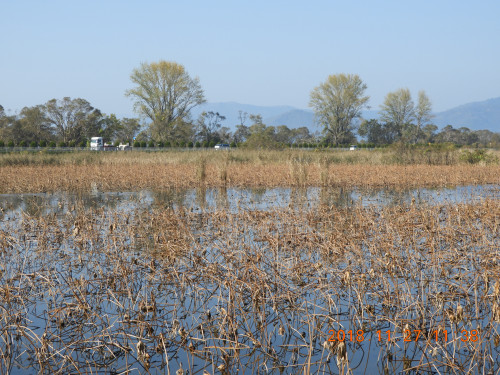DSCN6324.JPG