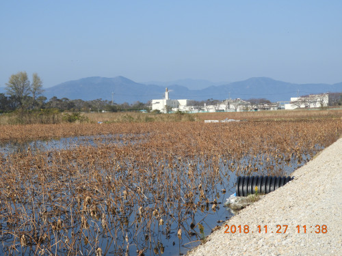 DSCN6325.JPG