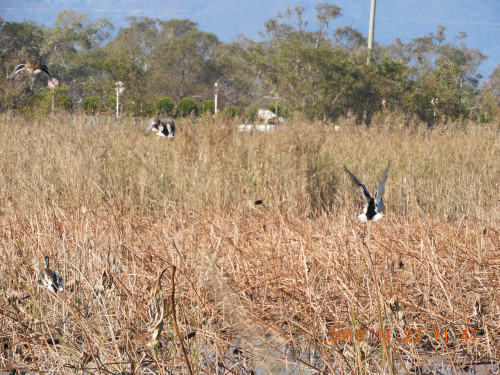 DSCN6332.JPG