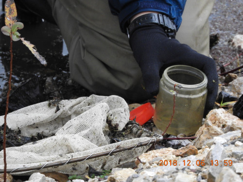 DSCN6390.JPG