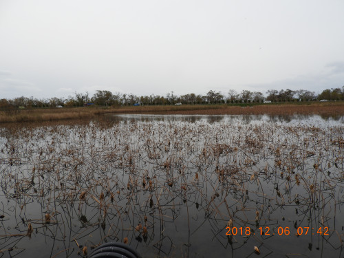 DSCN6403.JPG