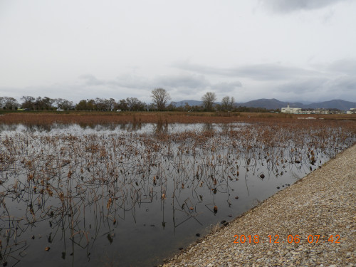 DSCN6404.JPG