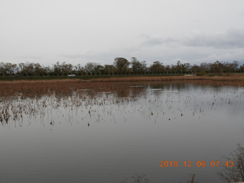 DSCN6405.JPG