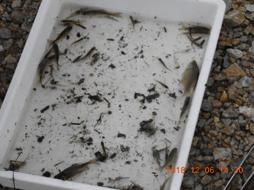 DSCN6396.JPG