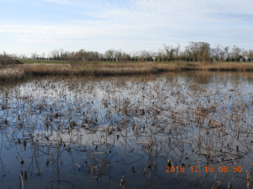 DSCN6444.JPG