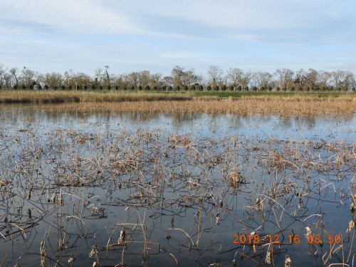 DSCN6445.JPG