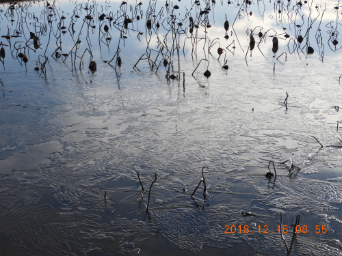 DSCN6449.JPG