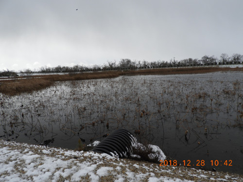 DSCN6565.JPG
