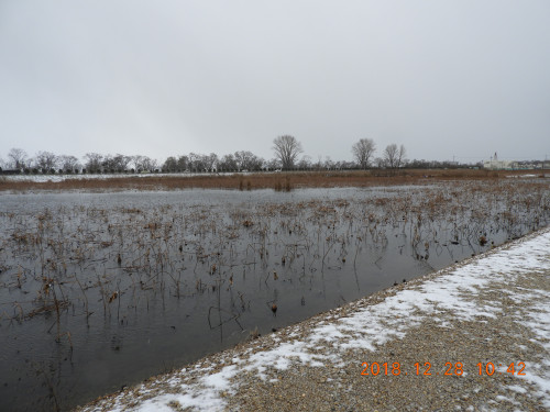 DSCN6566.JPG