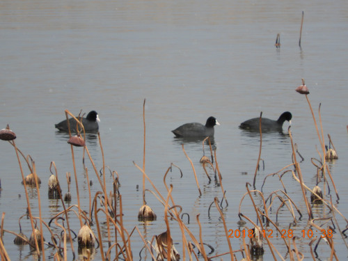 DSCN6558.JPG