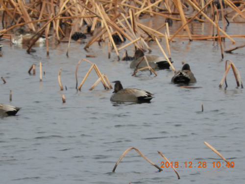DSCN6563.JPG