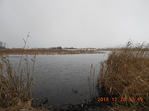 DSCN6570.JPG