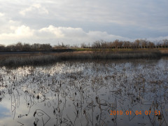 DSCN6620.JPG