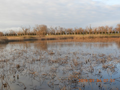 DSCN6621.JPG